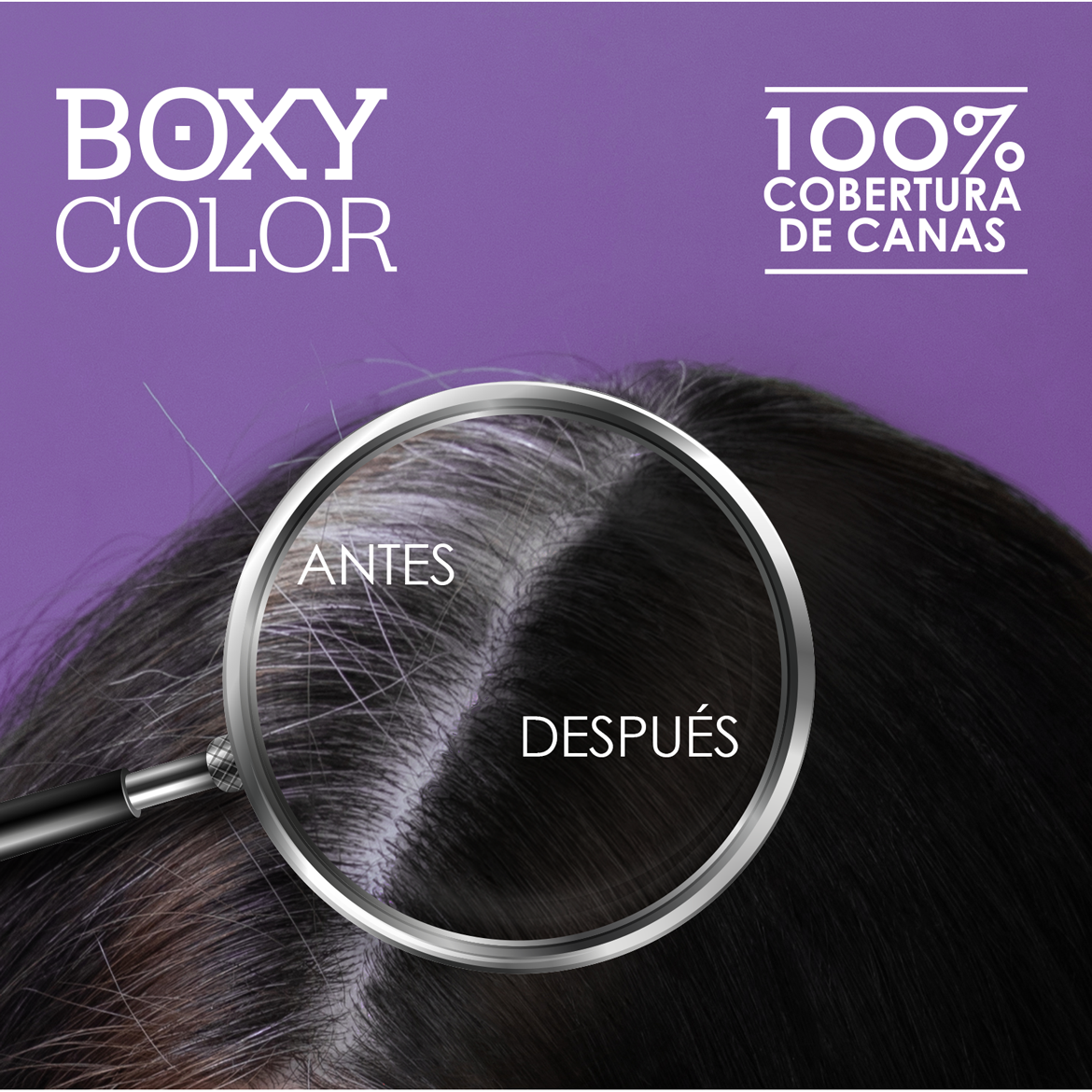 LISTING-BOXY-COLOR-SPA_05